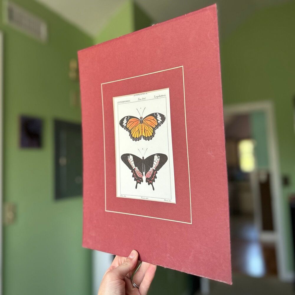 ❌SOLD - Picture 2 of 7